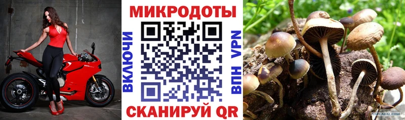 Псилоцибиновые грибы ЛСД  маркетплейс официальный сайт  Братск 
